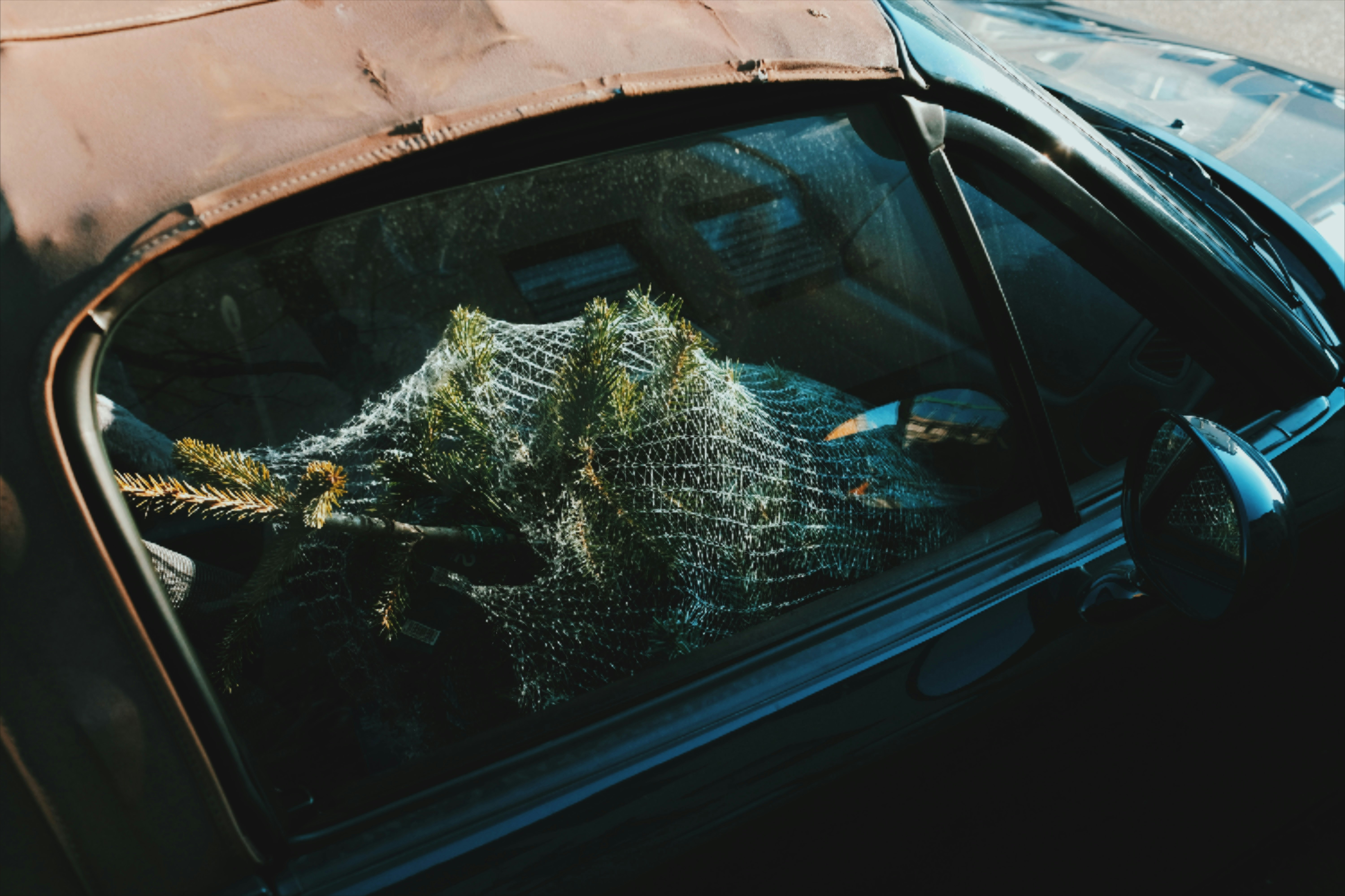 black car with white and yellow net